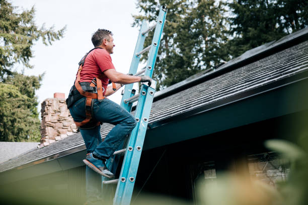 Best Solar Panel Roofing Installation  in Wantagh, NY